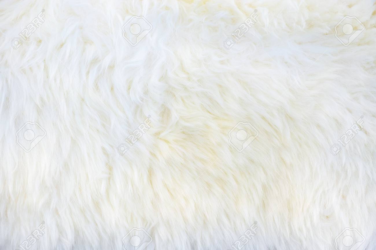 sam edelman green coat