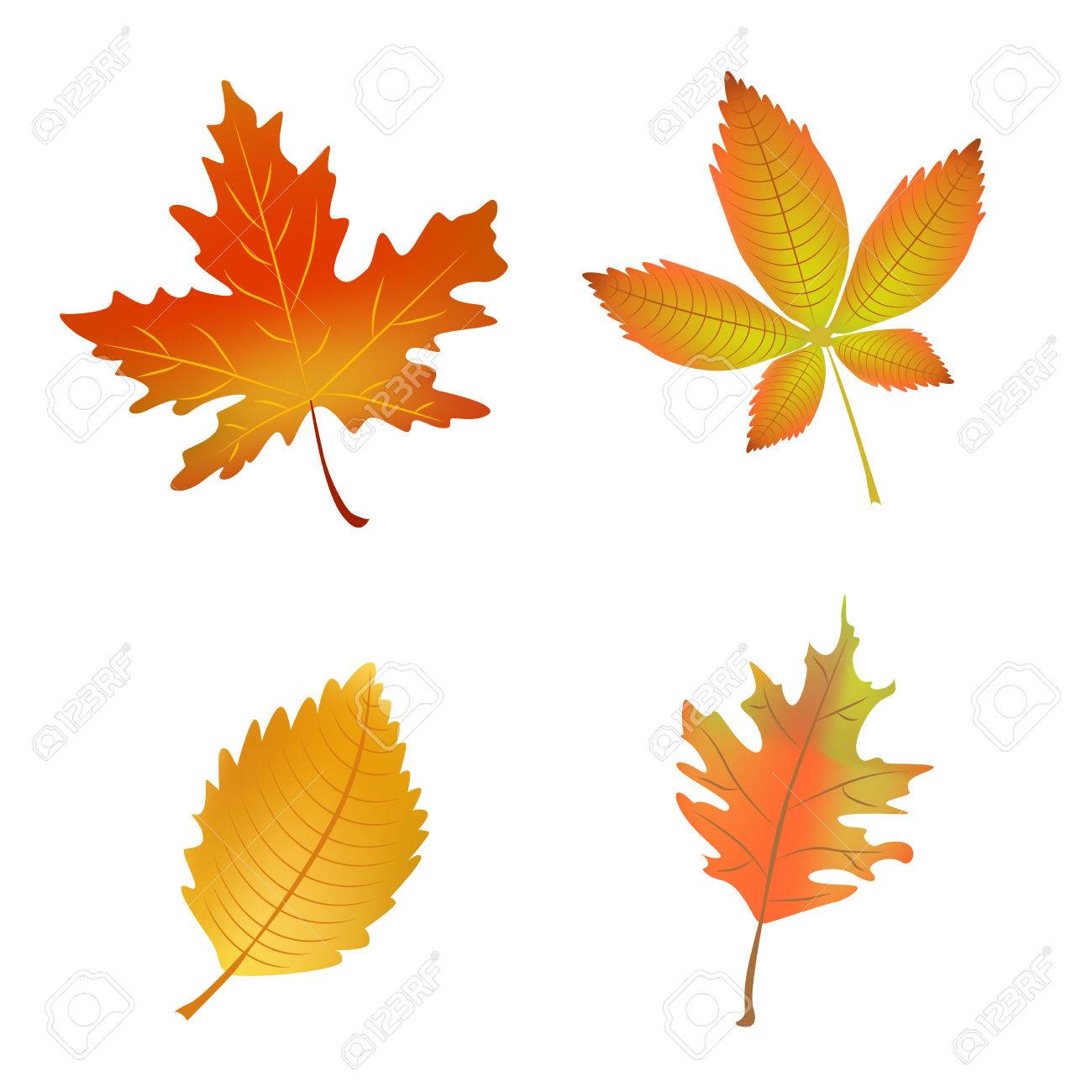 秋の紅葉 白い背景に分離されたベクトルのイラストのセットのイラスト素材 ベクタ Image