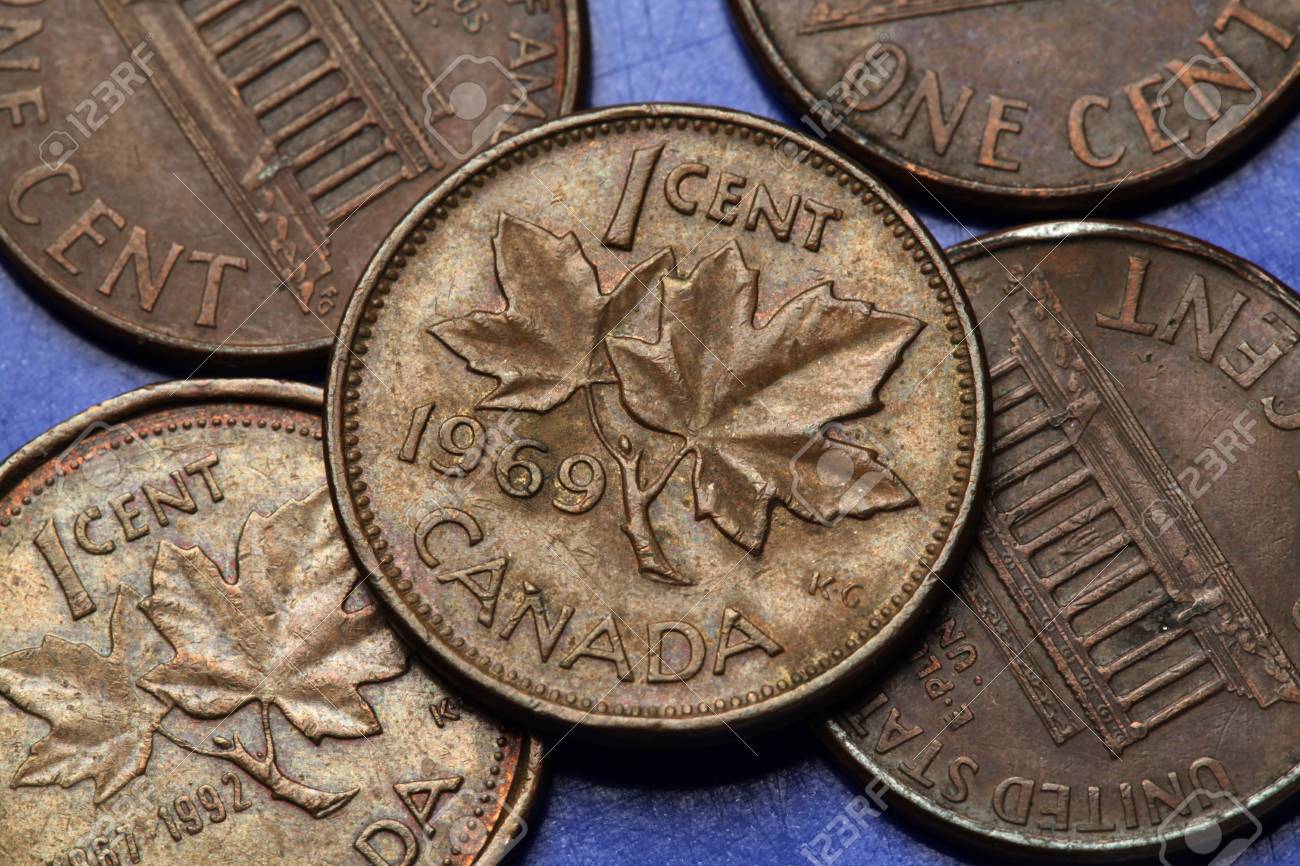 カナダのコイン。カエデの葉カナダの 1 セント硬貨に描かれています。の写真素材・画像素材 Image 31124550