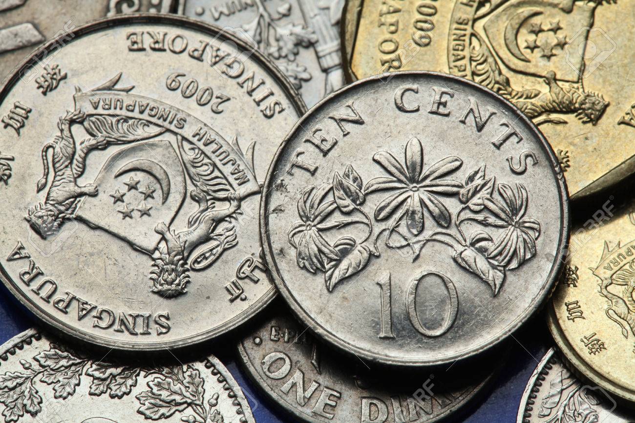 シンガポールのコイン。冬ジャスミン花 (ソケイ イタリアンライ グラス) シンガポール 10 セント硬貨に描かれています。の写真素材・画像素材  Image 31284842