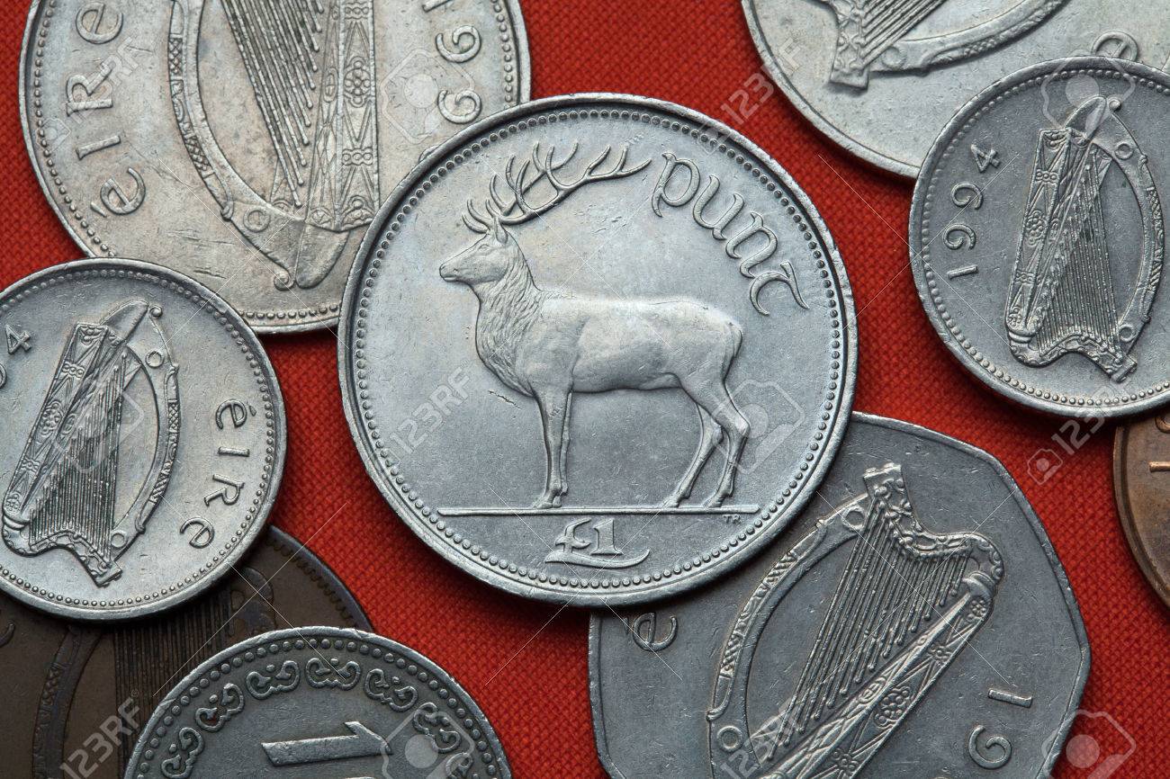 アイルランドの硬貨。レッド ・ ディア (Cervus の Elaphus) アイルランドの 1 ポンド コインに描かれています。の写真素材・画像素材  Image 53692754