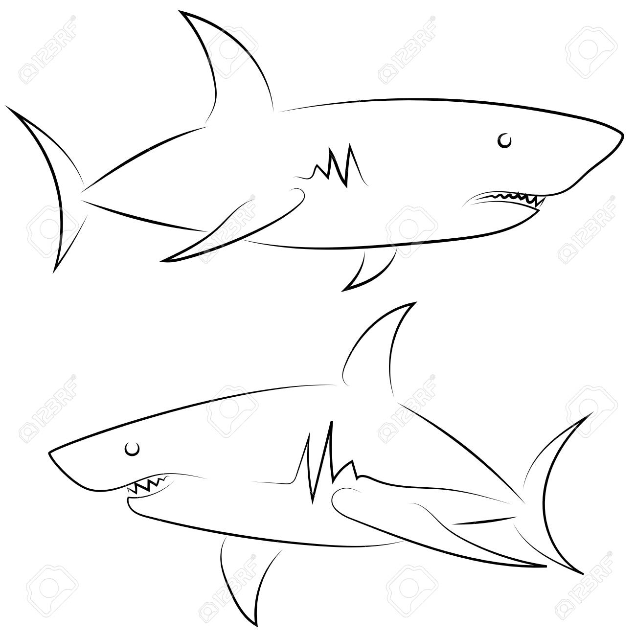 black line sharks on