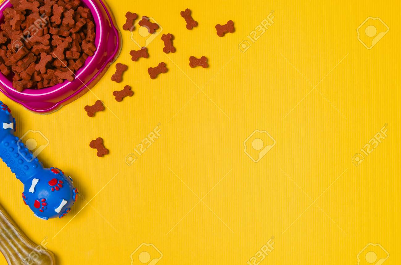 dog food accessories