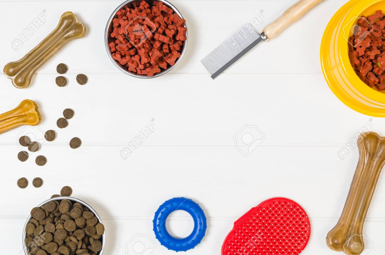 the most nutritious dog food