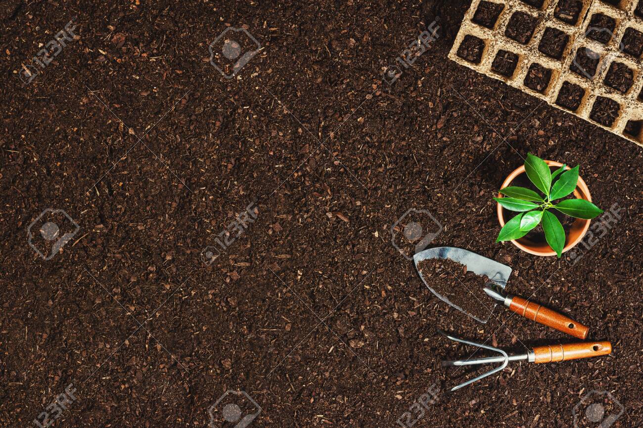Download Gardening Tools On Fertile Soil Texture Background Seen From Above Top View Gardening Or Planting Concept Working In The Spring Garden Flat Lay Mockup With Border Composition Stock Photo Picture And Royalty