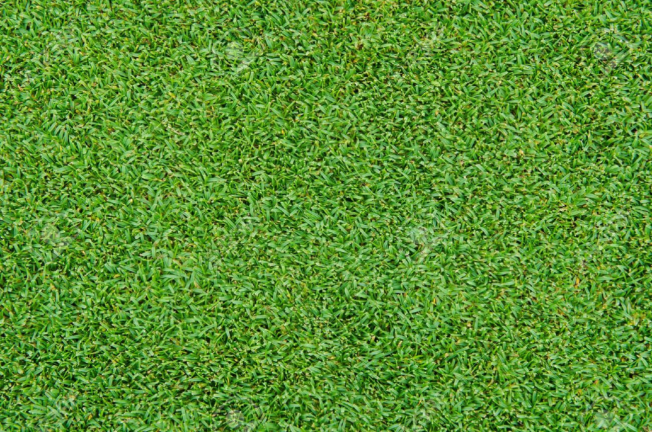 beautiful green grass pattern from golf course stock photo picture grass pattern