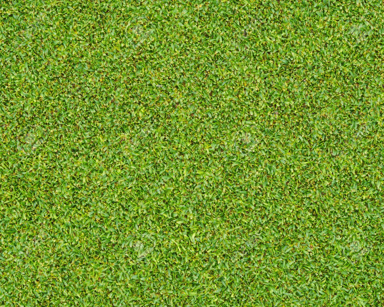 beautiful green grass pattern from golf course stock photo picture grass pattern