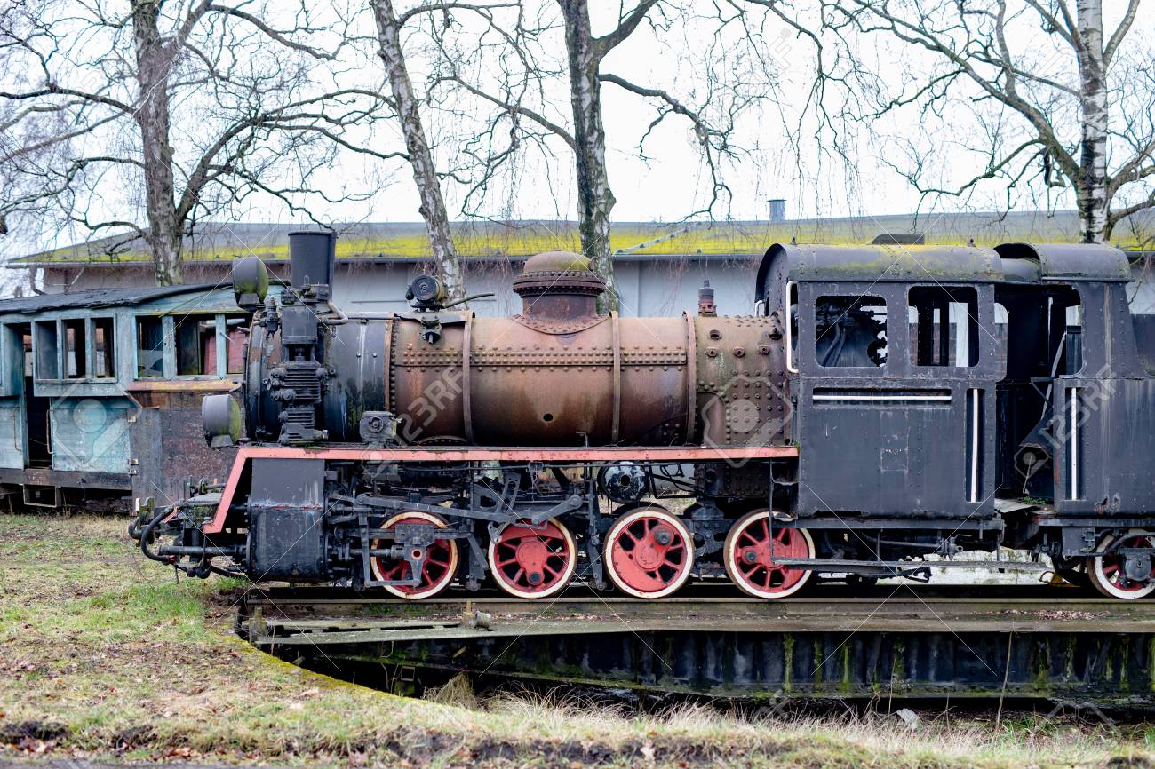 narrow gauge steam locomotive