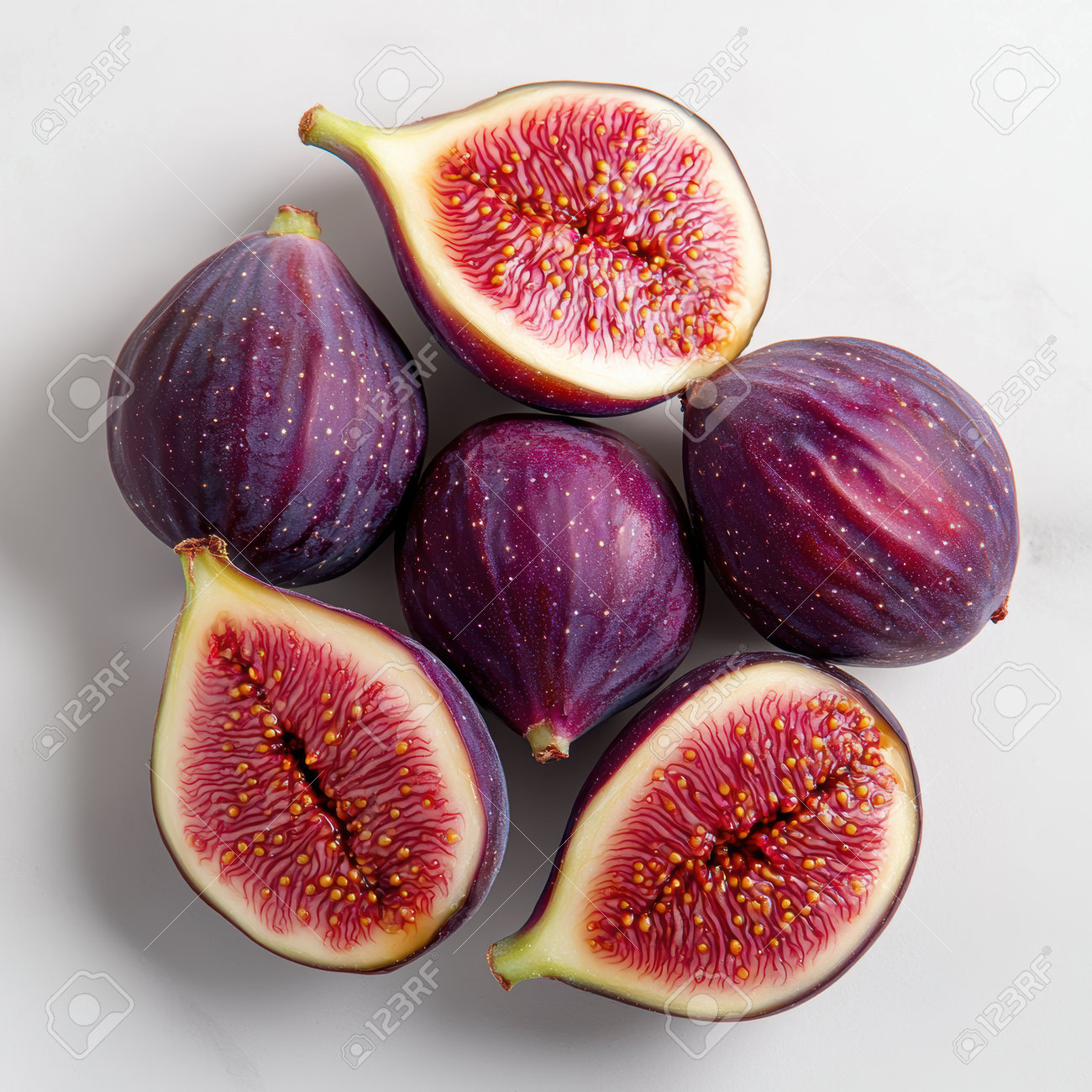 etiam-dictum-ipsum-a-felis