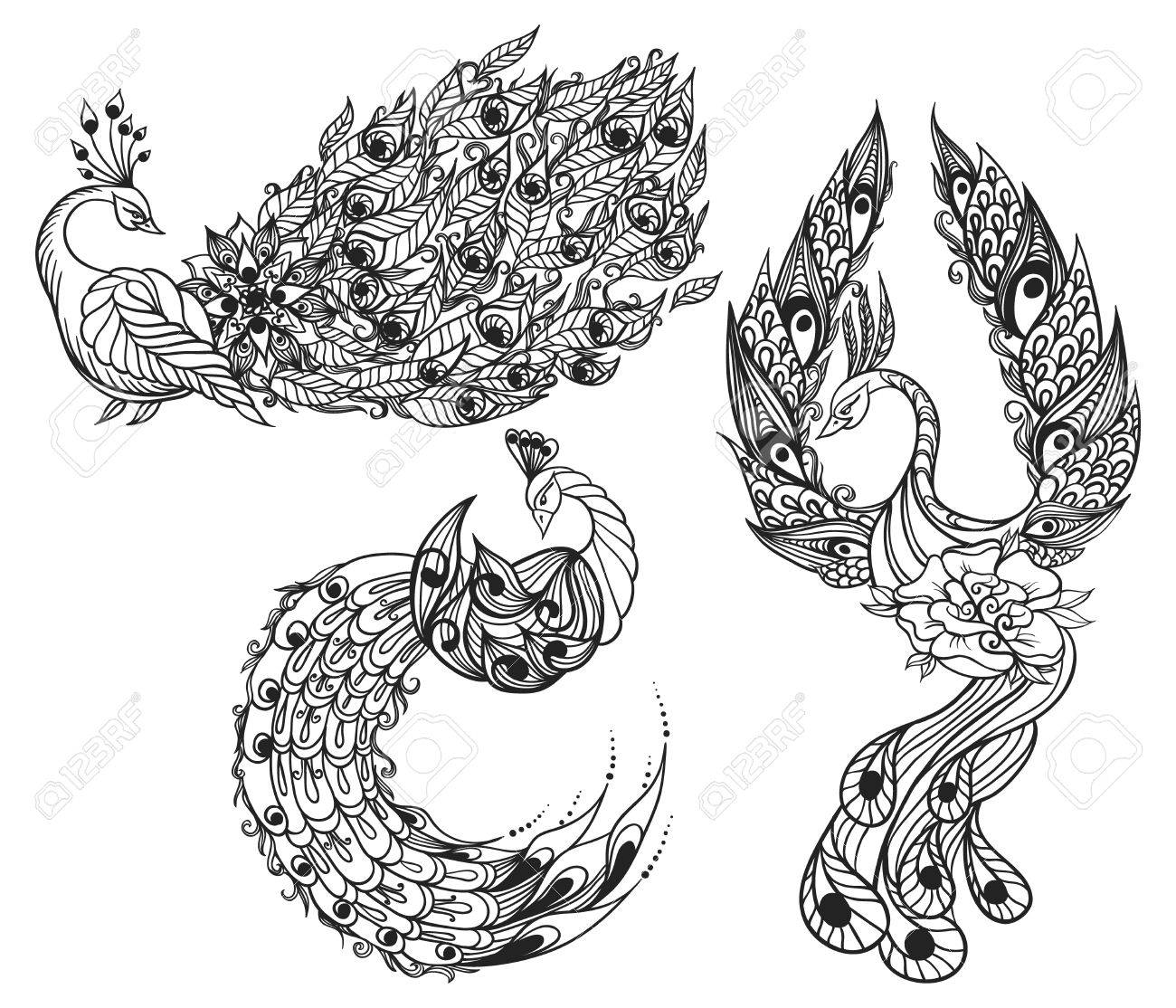 鳥の手描きイラスト 3 つの神秘的な白鳥の図面 ベクトルの図 のイラスト素材 ベクタ Image 6789