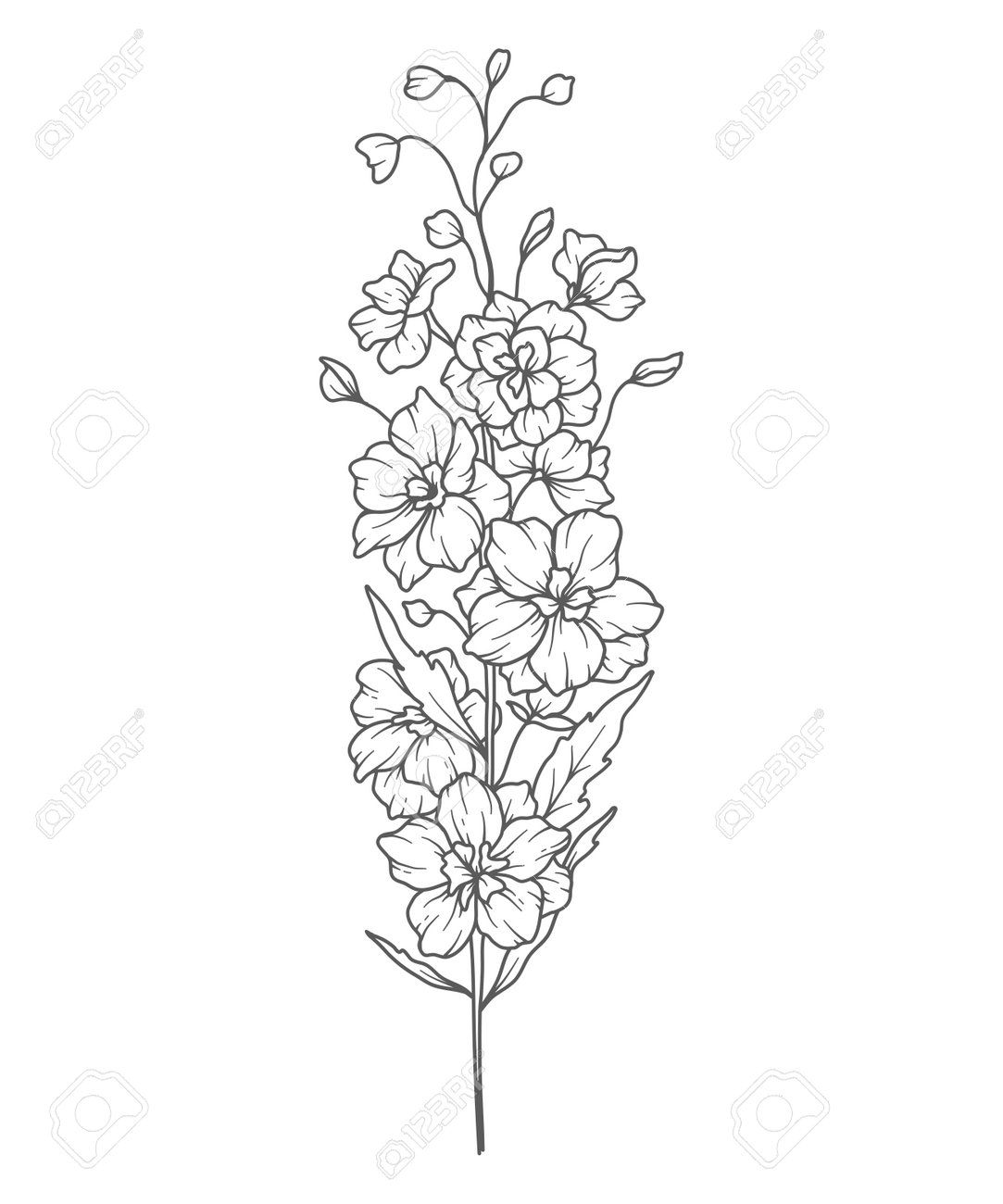 Birth Flower Tattoos: Delphinium Beauty