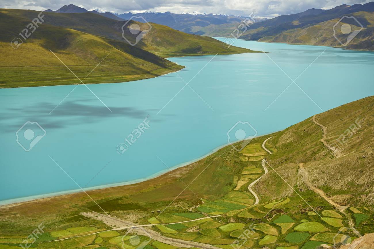 etiam-dictum-ipsum-a-felis