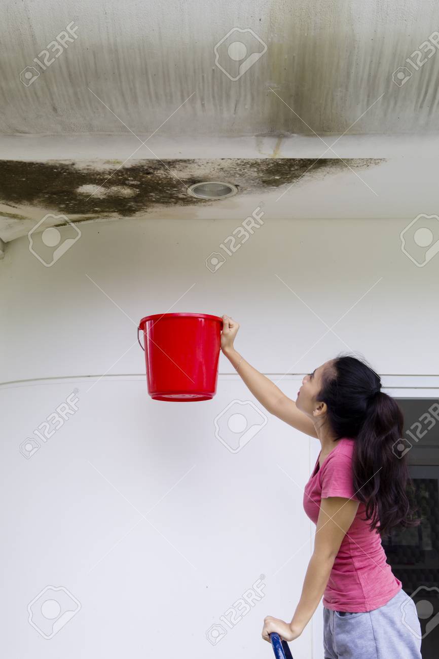 バケツで破損した天井からドロップ雨水を集めての若い女性の画像 の写真素材 画像素材 Image