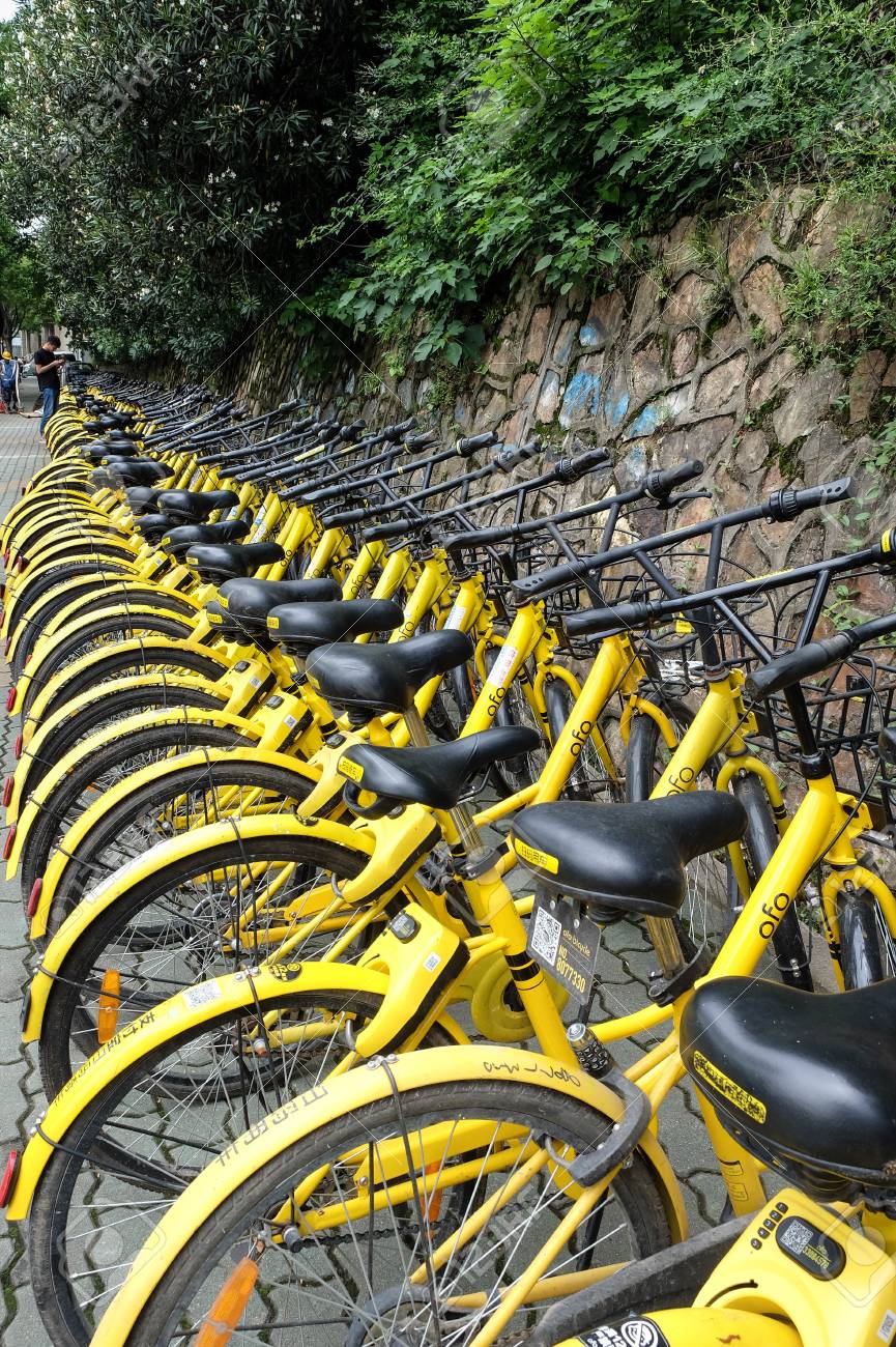 ofo stock