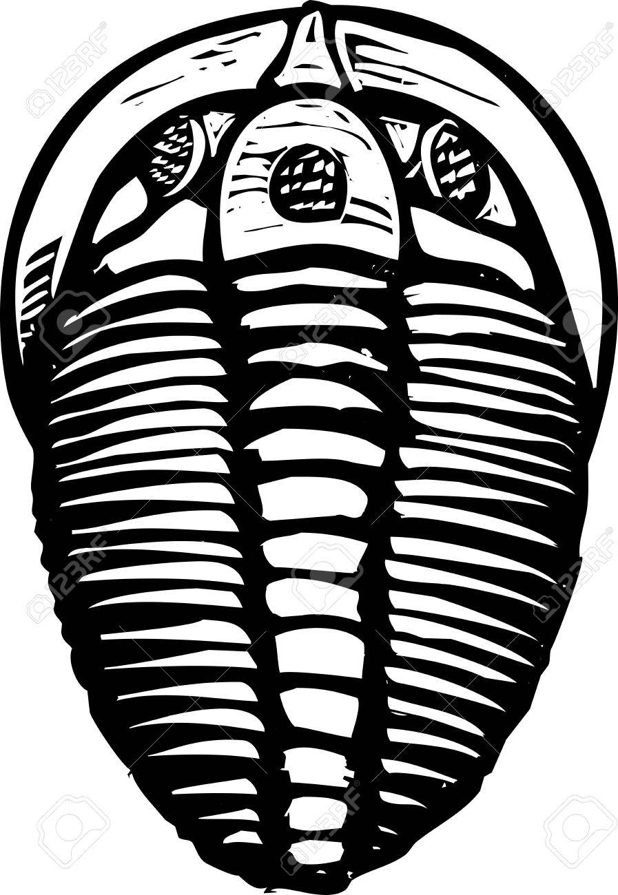 化石三葉虫の木版画のスタイル イメージのイラスト素材 ベクタ Image 化石三葉虫の木版画のスタイル イメージのイラスト素材 ベクタ Image