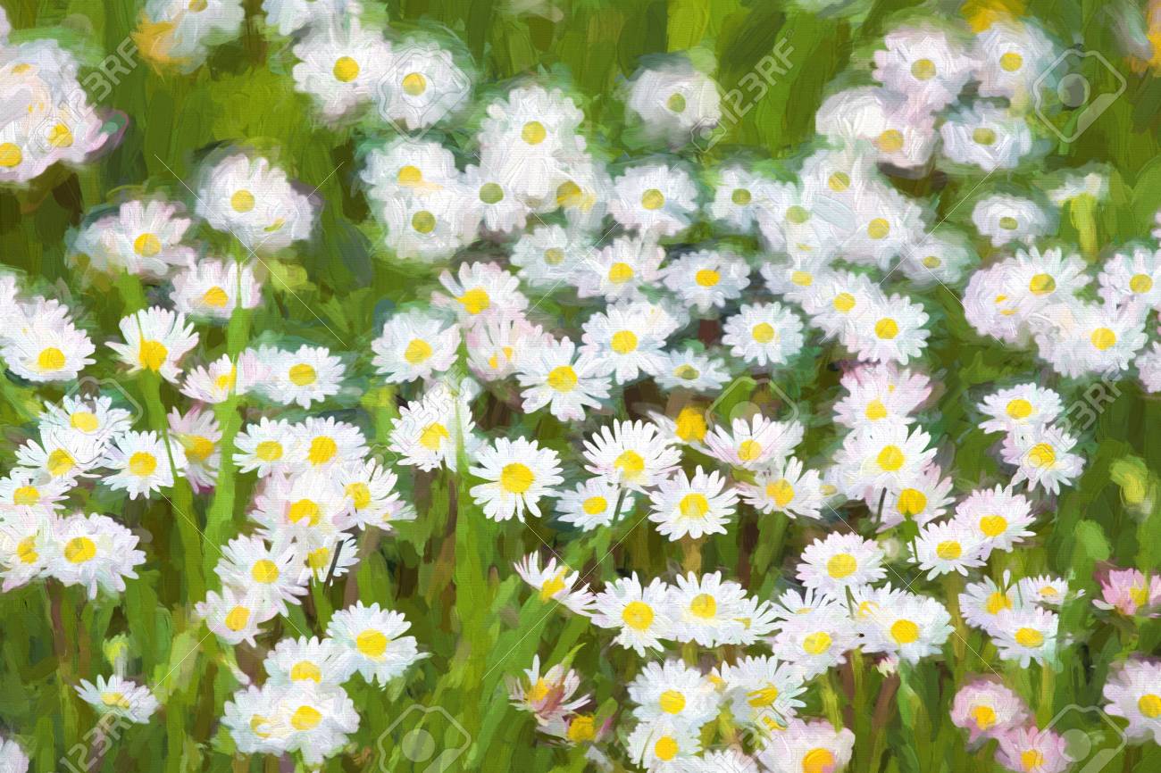 Peinture à Lhuile Printemps Prairie Avec Des Fleurs De Marguerite Fleur Peinture à Lhuile De Fond