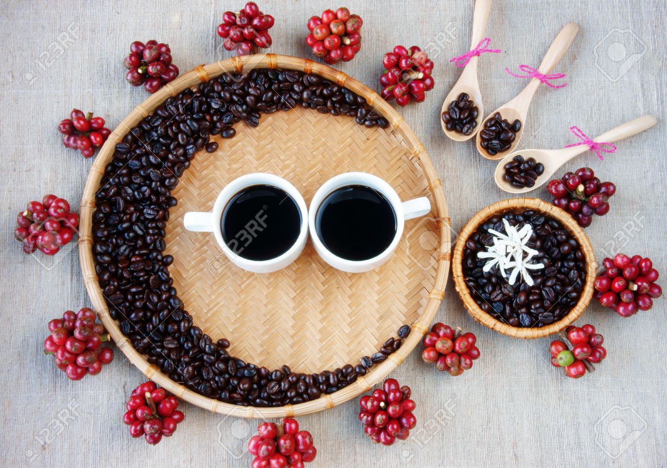 collect of cafe seed red ripe berries roasted cofee bean cup cofee