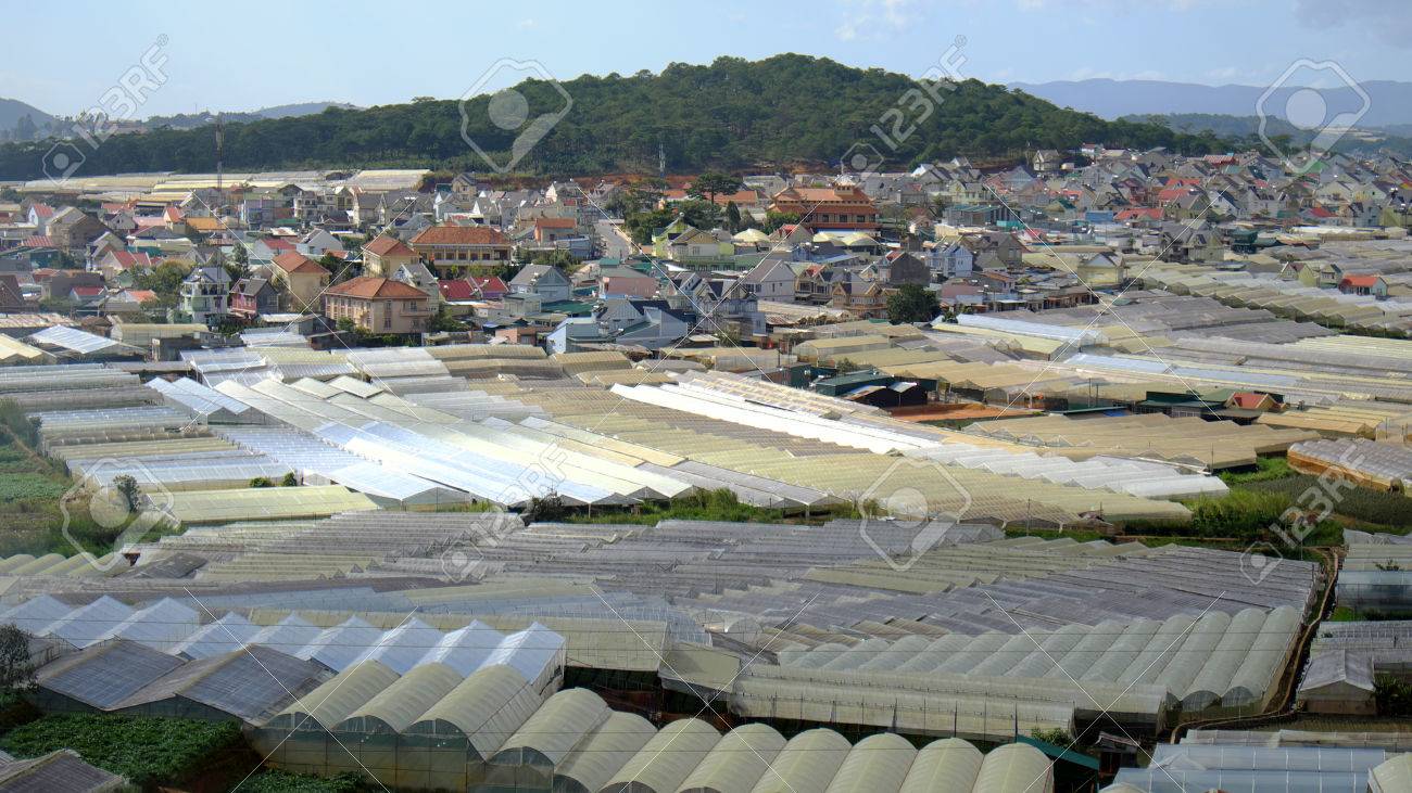 Dalat Blumendorf Eine Grosse Flache Fur Die Blume In Vietnam Eine