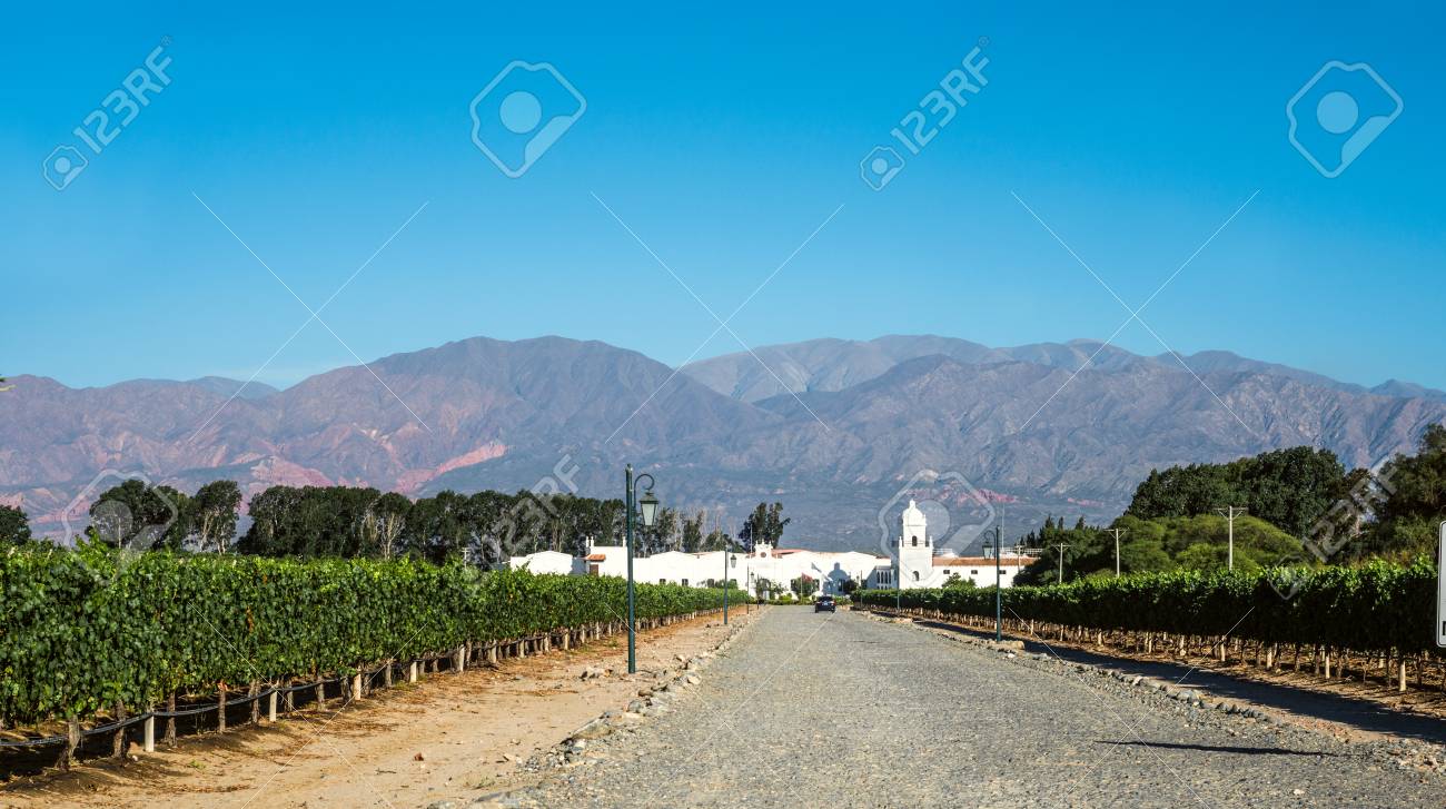 Cafayate, Argentina - December 4, 2014: Road to the old colonial wine maker 'Bodega El Esteco" in Cafayate with the mountains and clear blue sky in the background - 82909727 Cafayate, Argentina - December 4, 2014: Road to the old colonial wine maker 'Bodega El Esteco" in Cafayate with the mountains and clear blue sky in the background - 82909727