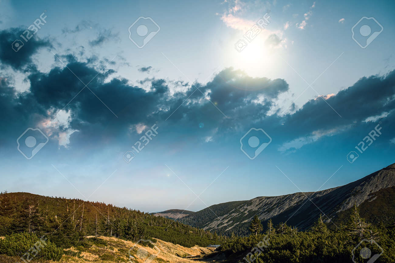 etiam-dictum-ipsum-a-felis