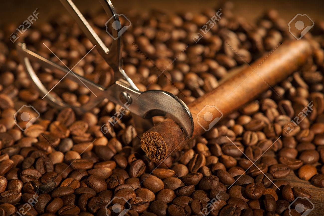 Selective Focus On The Cuban Cigar And Cutter Lying Heap Of Coffee Beans Stock Selective Focus On The Cuban Cigar And Cutter Lying Heap Of Coffee Beans Stock