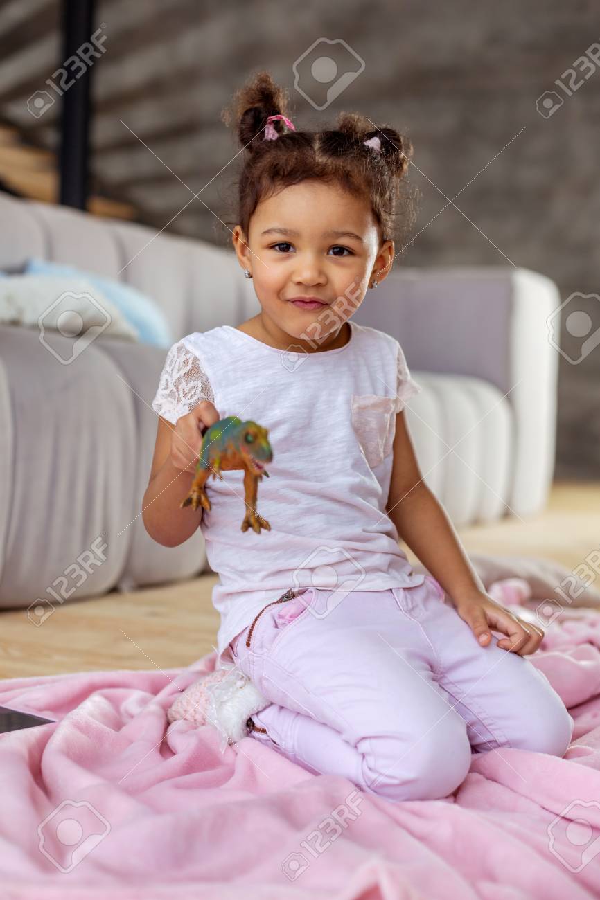 pink dinosaur blanket