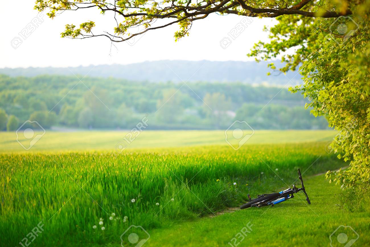 cycling off road near me