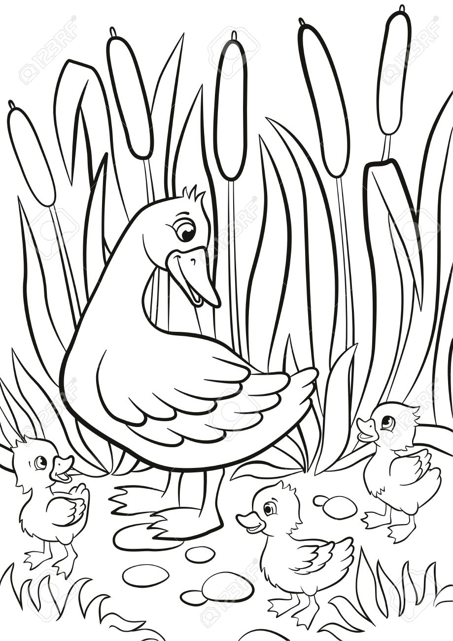 Coloring pages Kind duck and free little cute ducklings walk on the lake shore