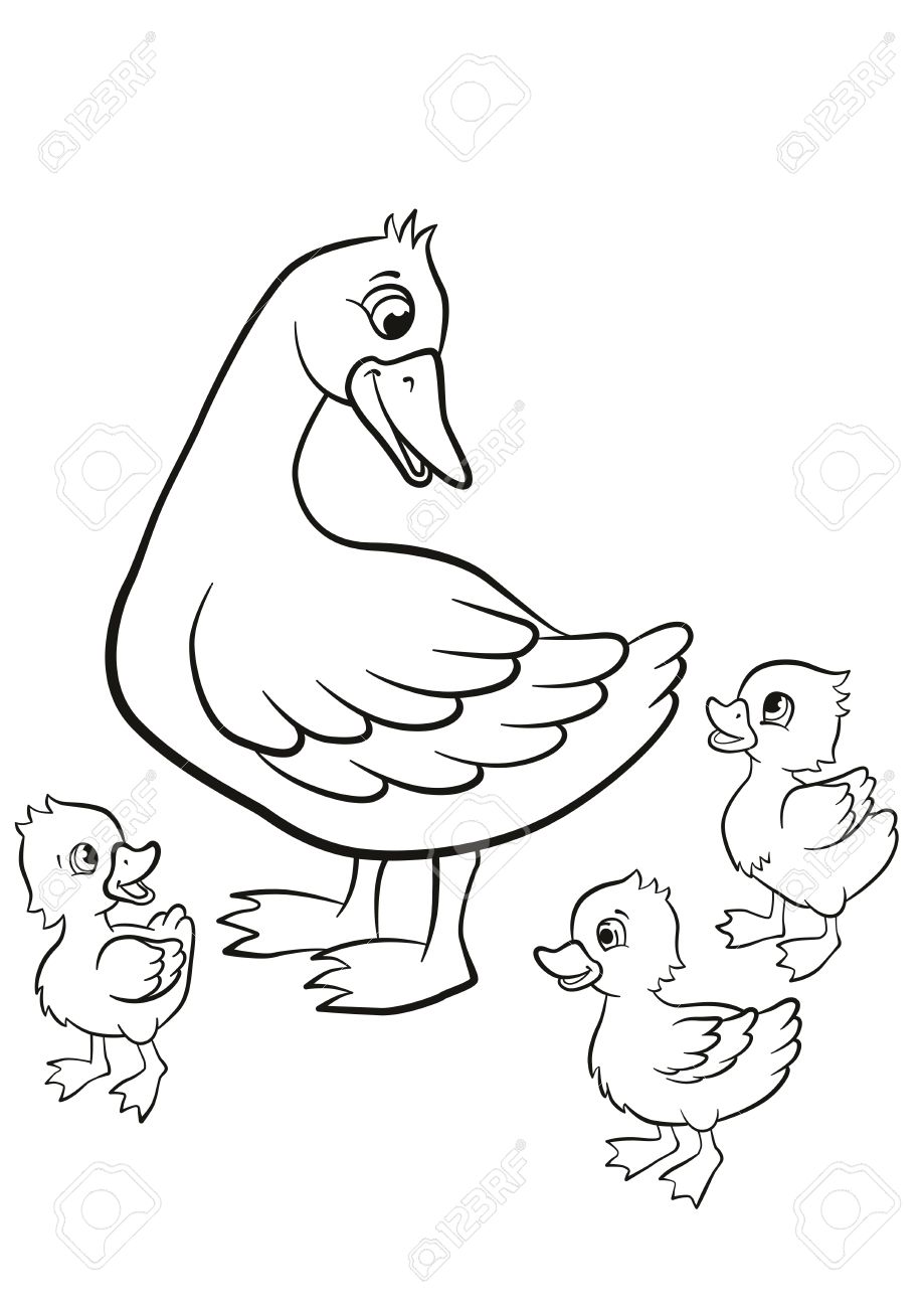 Coloring pages Kind duck and free little cute ducklings walk They are happy and
