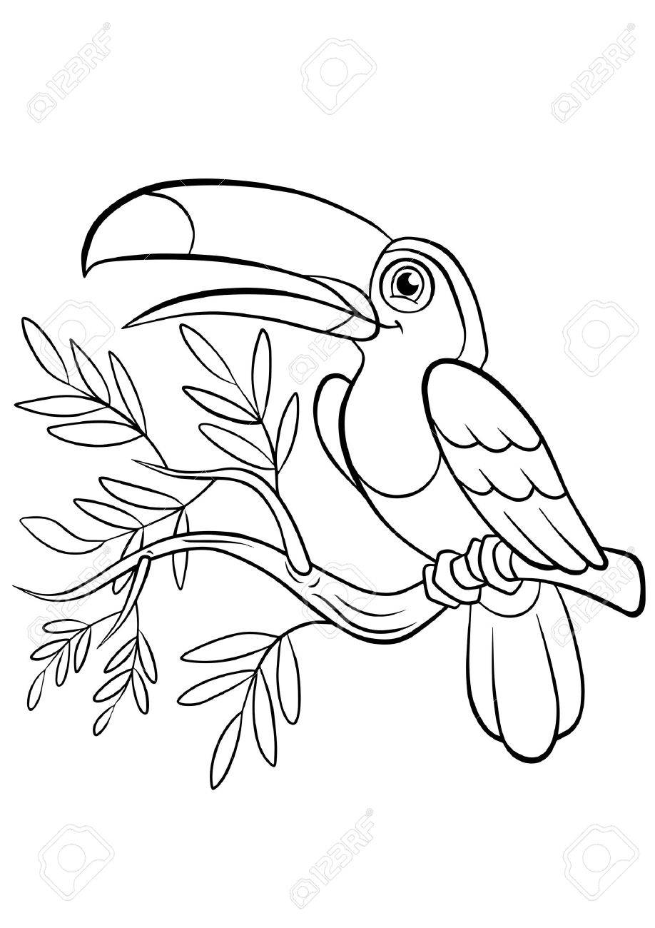 740 Coloring Book Images Of Birds Free