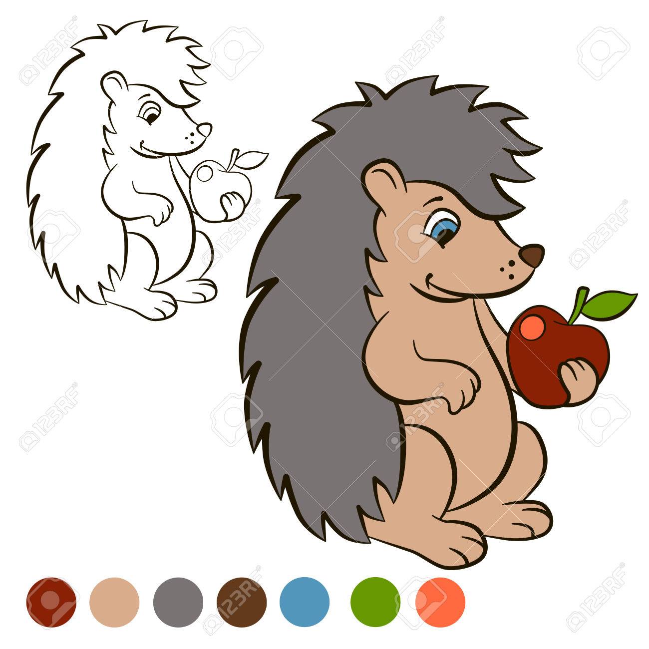 Malvorlage. Color me: Igel. Kleine niedliche Igel steht und hält einen Apfel in der Pfote. Der Igel lächelt. Malvorlage. Color me: Igel. Kleine niedliche Igel steht und hält einen Apfel in der Pfote. Der Igel lächelt.