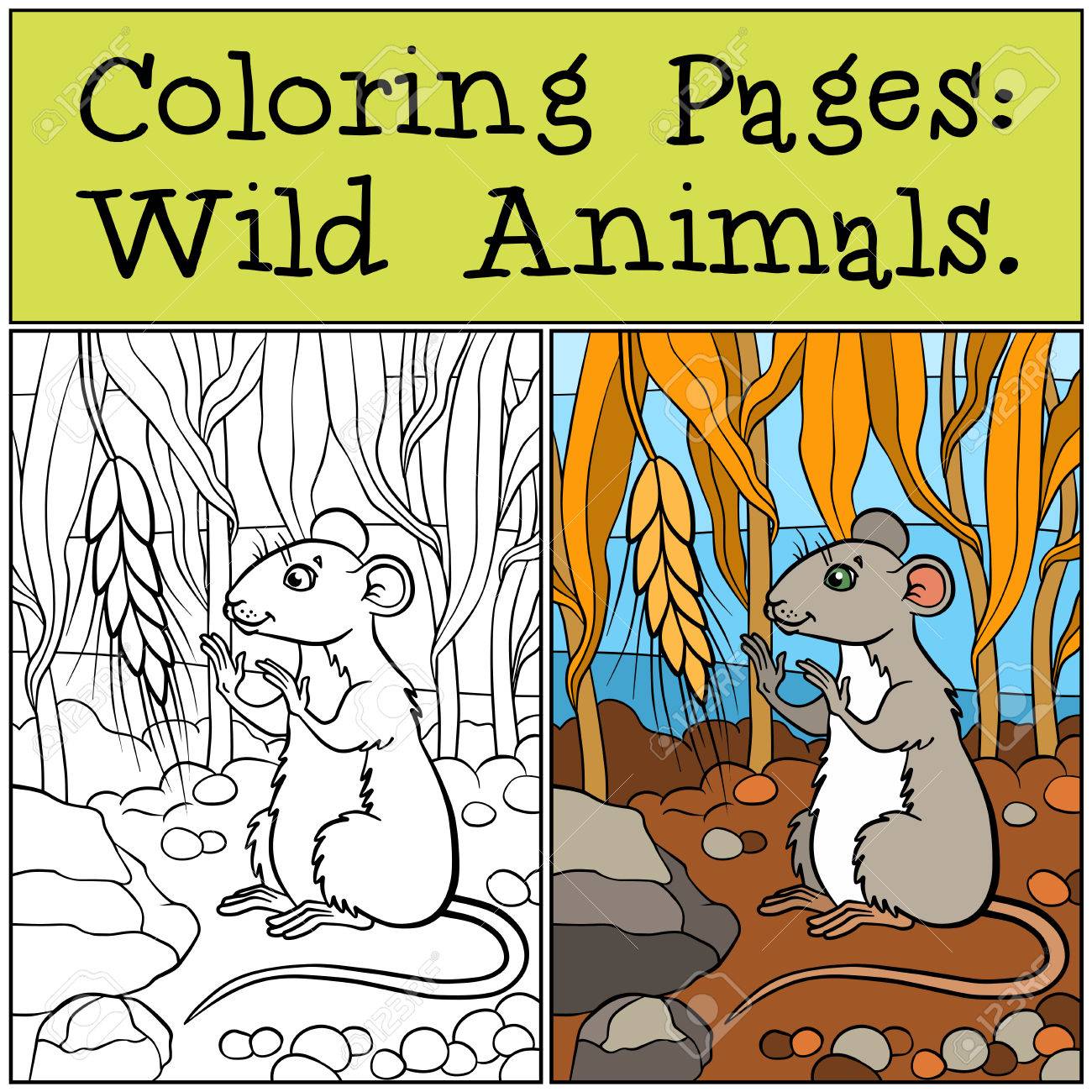 Coloriage Animaux sauvages Petite souris mignonne regarde le blé Banque d images