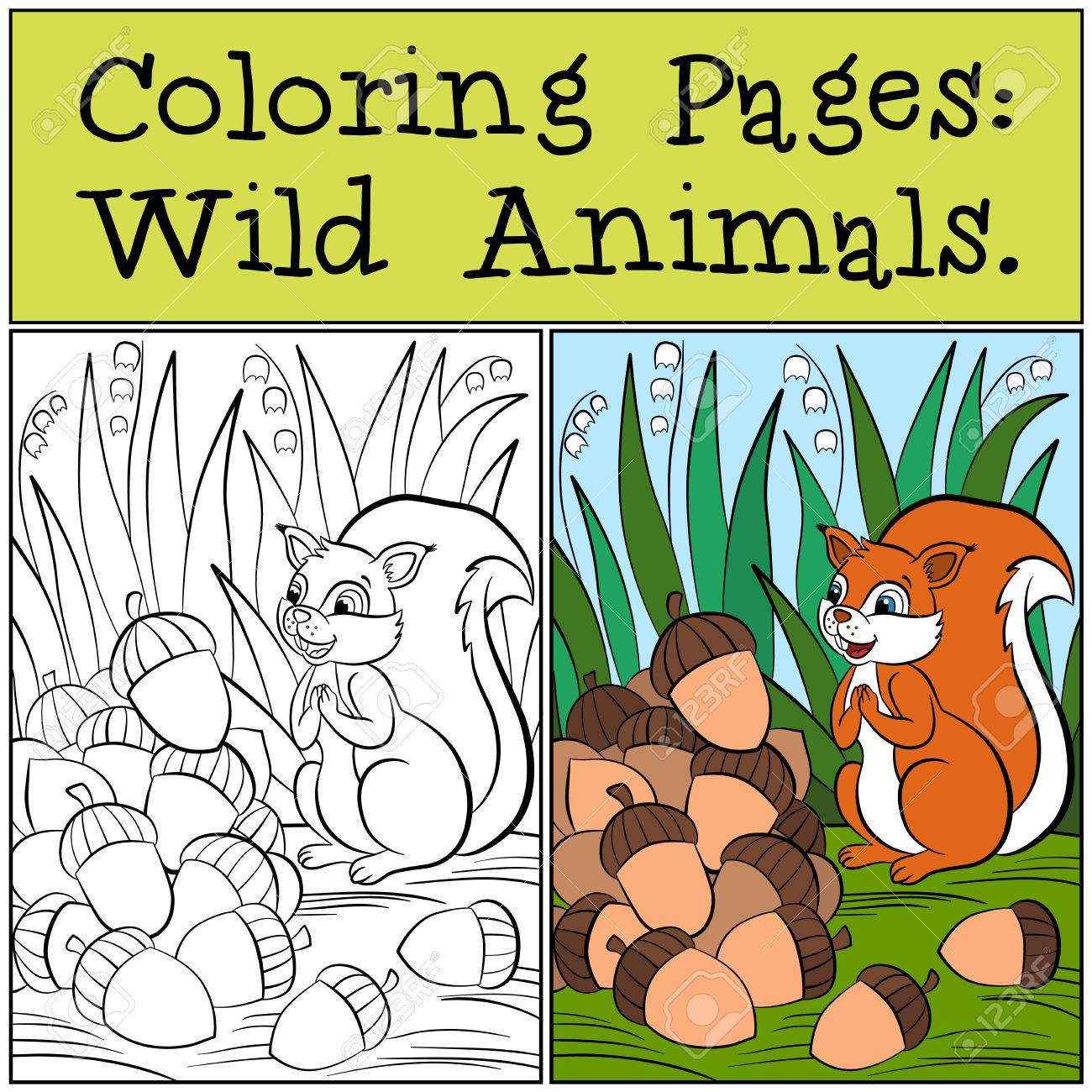 Malvorlagen Wild Animals Kleine Niedliche Eichhornchen Steht Auf Dem Gras Und Schaut Auf Eicheln Lizenzfrei Nutzbare Vektorgrafiken Clip Arts Illustrationen Image 56472207