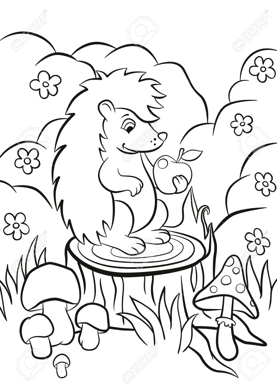 Malvorlagen. Kleine nette Art Igel sitzt auf dem Stumpf und hält einen Apfel in der Pfote. Es gibt Sträucher, Blumen, Gras und Pilze herum. Sommer. Malvorlagen. Kleine nette Art Igel sitzt auf dem Stumpf und hält einen Apfel in der Pfote. Es gibt Sträucher, Blumen, Gras und Pilze herum. Sommer.