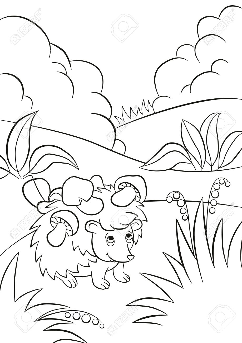 Coloriage Petit Mignon Type Herisson A Les Champignons Sur Les Aiguilles Il Y A Des Buissons Des Plantes Des Herbes Et Des Baies Autour Le Herisson Sourit Clip Art Libres De Droits