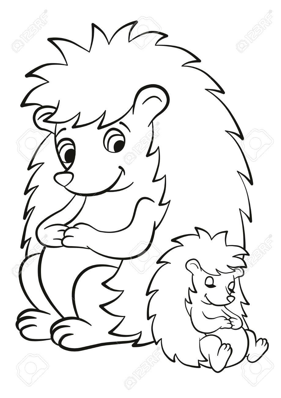 Coloring Pages. The Hedgegoh And The Little Cute Baby Seatl ... Coloring Pages. The Hedgegoh And The Little Cute Baby Seatl ...