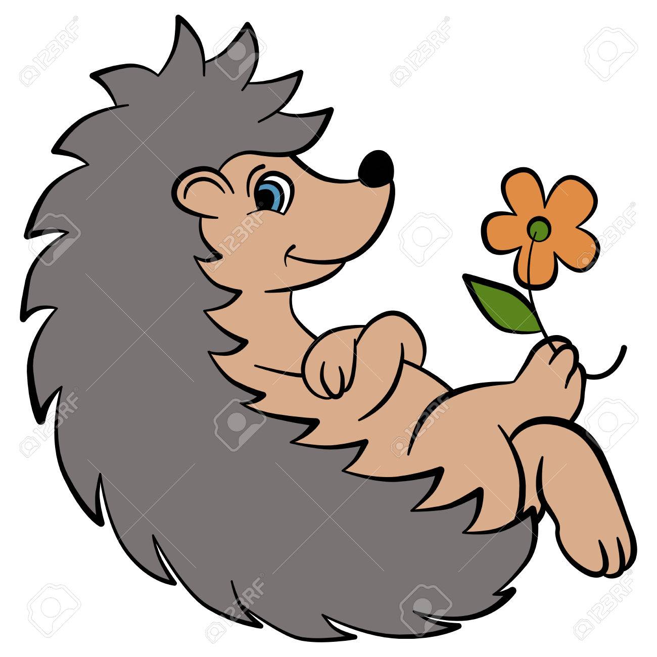 Мультфильм Диких Животных Для Детей. Маленький Милый Ежик Держит Цветок И  Улыбки. Он Счастлив. Клипарты, SVG, векторы, и Набор Иллюстраций Без Оплаты  Отчислений. Image 57527320