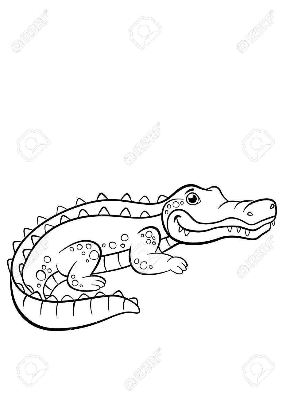 着色のページ 動物 小さなかわいいワニの笑顔 のイラスト素材 ベクタ Image 57626634