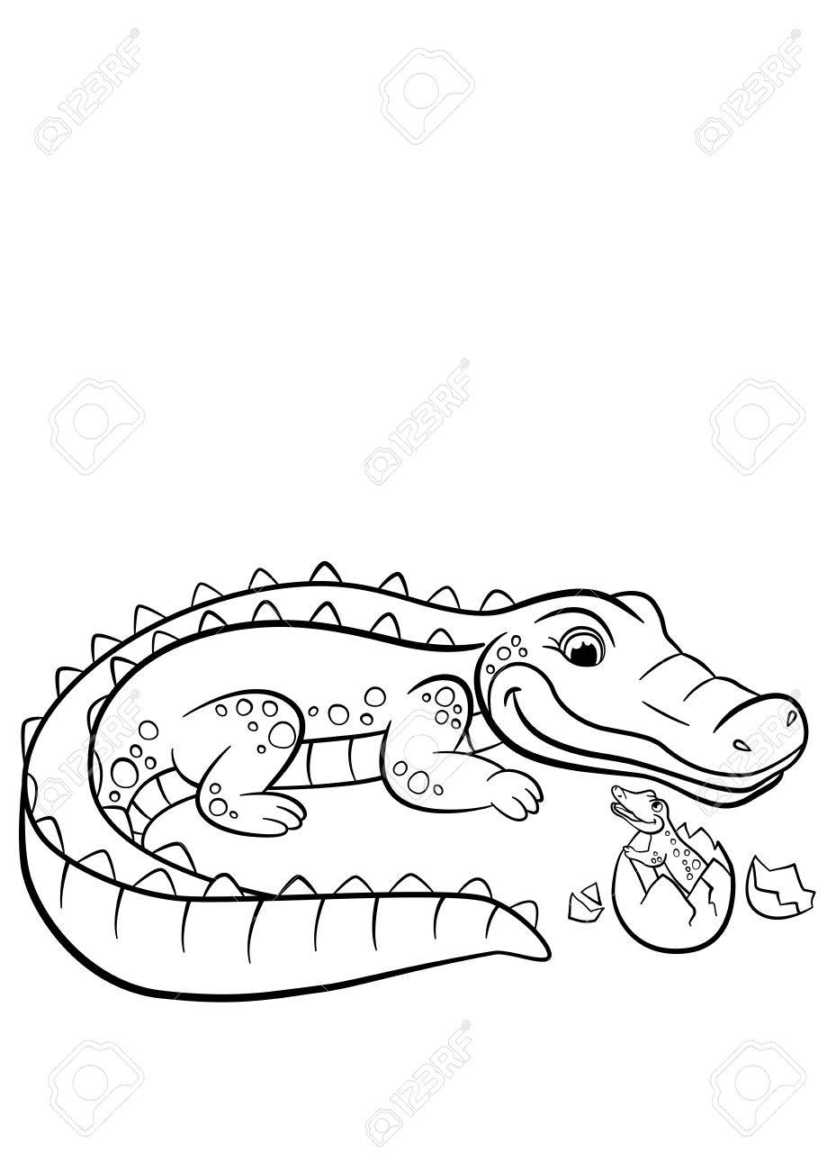 Coloring Pages Animals Mother Alligator Looks At Her Little