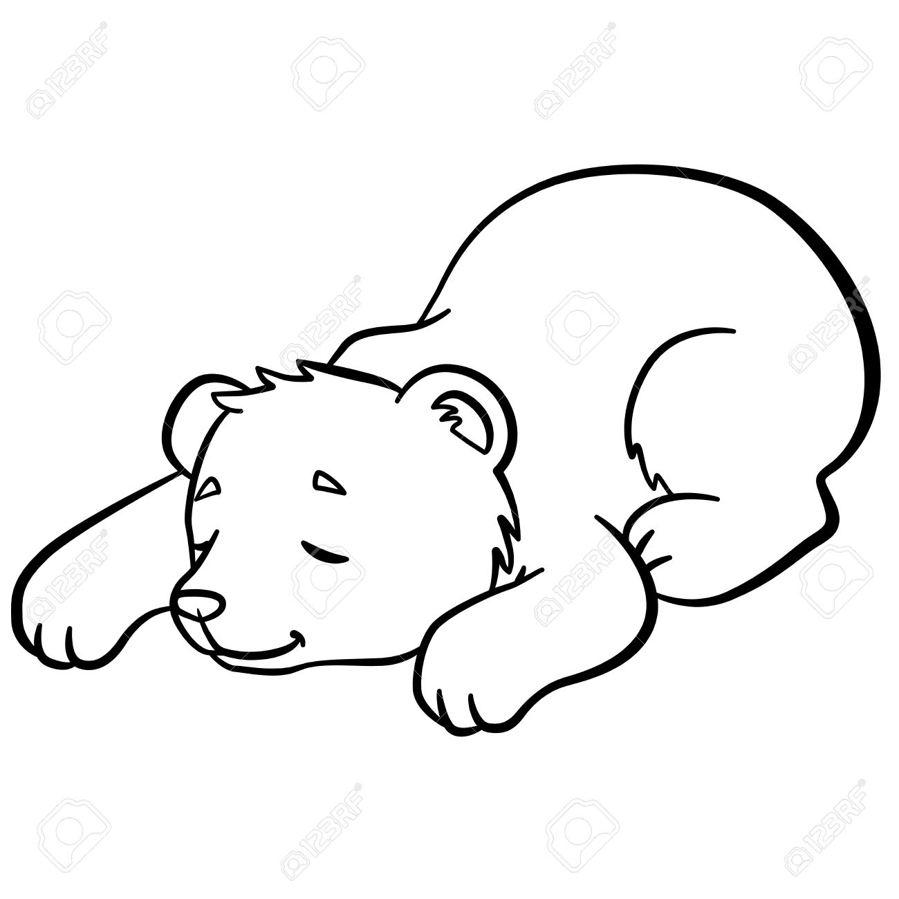 Coloring pages Wild animals Little cute baby bear sleeps It is so sweet