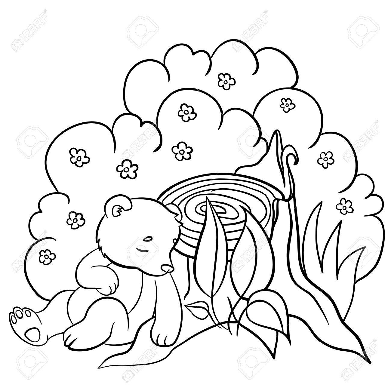 Coloring pages Wild animals Little cute baby bear sleeps in the forest Stock