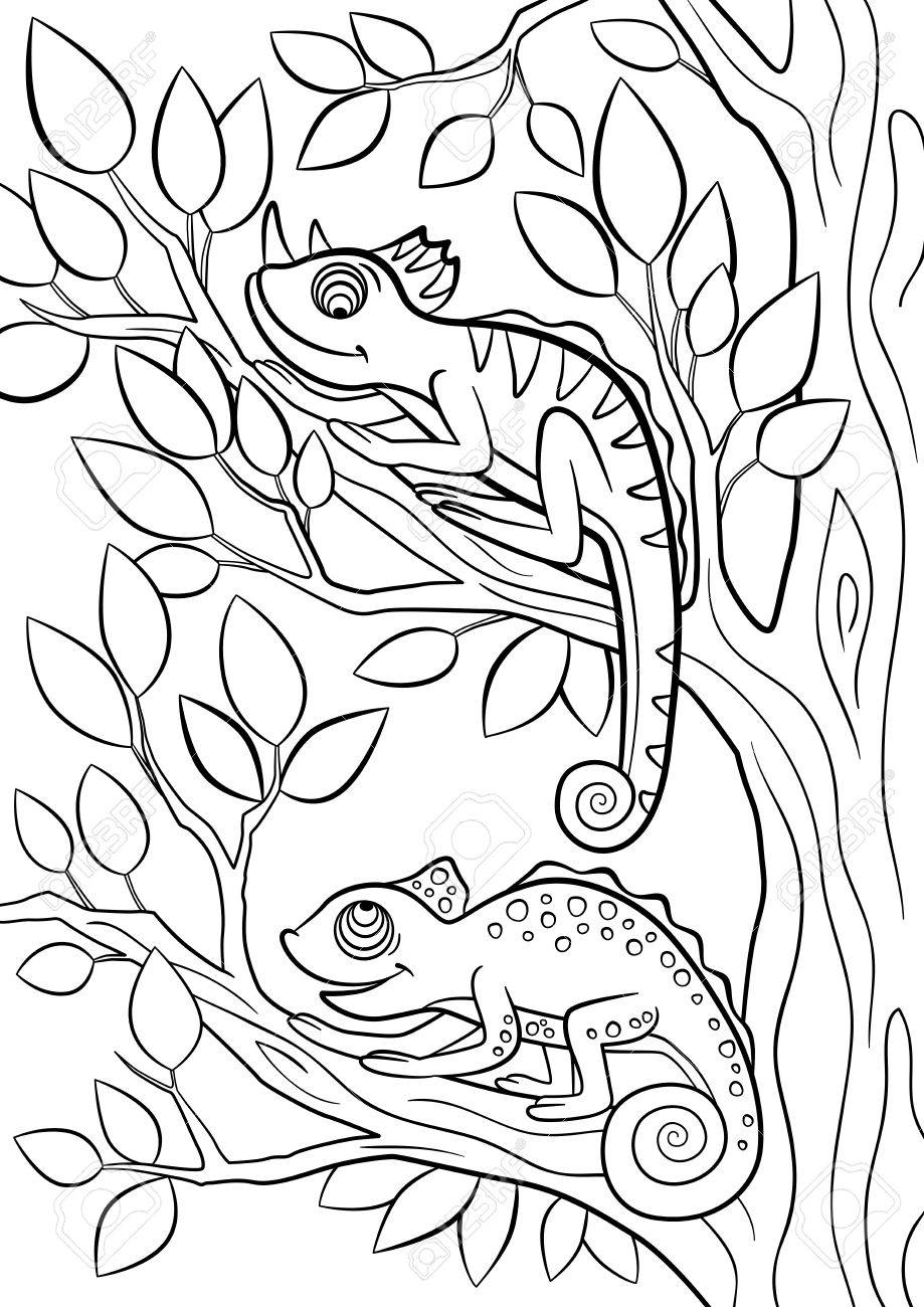 Coloring Pages. Wild Animals. Two Little Cute Chameleon Sits On The Tree Branch. Royalty Free SVG, Cliparts, Vectors, And Stock Illustration. Image 57627303. Coloring Pages. Wild Animals. Two Little Cute Chameleon Sits On The Tree Branch. Royalty Free SVG, Cliparts, Vectors, And Stock Illustration. Image 57627303.