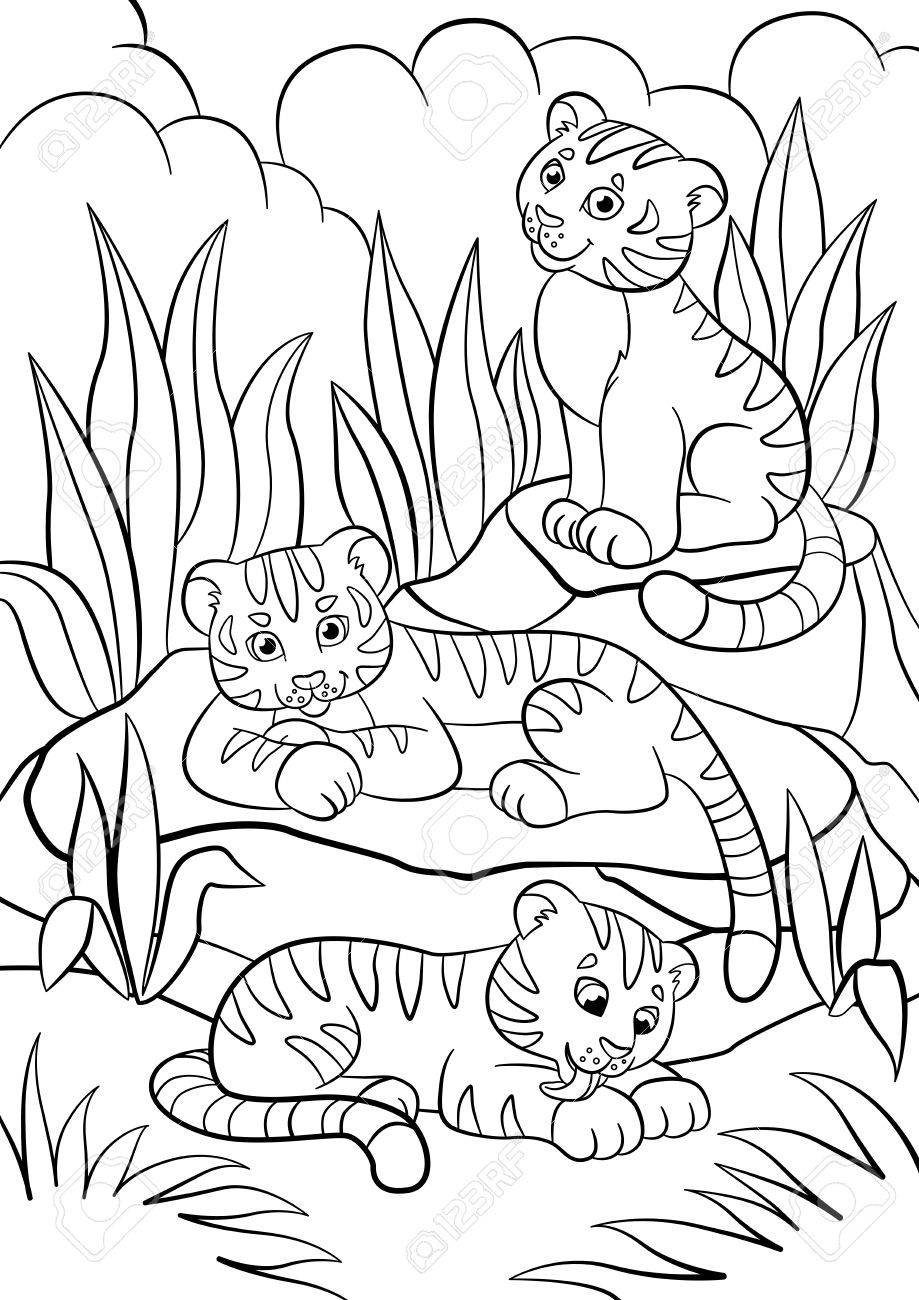 Coloriage Animaux Sauvages Trois Petits Tigres De Bebe Mignon Dans La Foret Clip Art Libres De Droits Vecteurs Et Illustration Image 5614