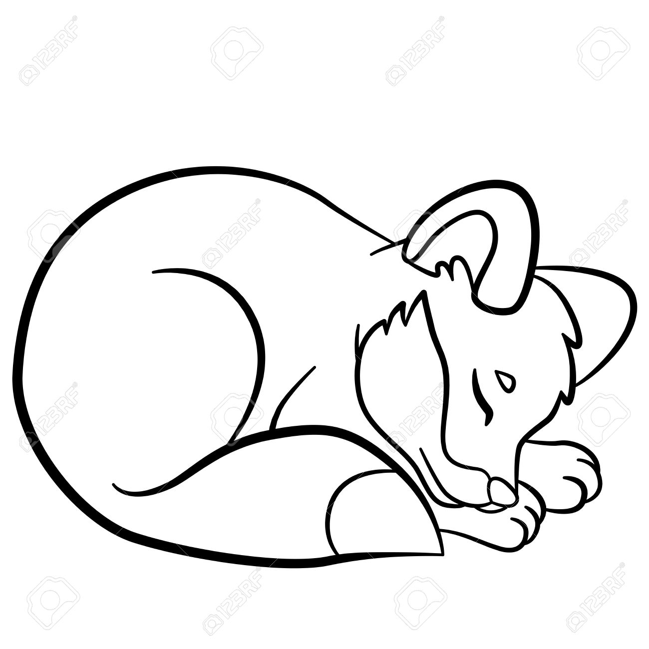 Coloriage Animaux Sauvages Petit Bebe Renard Mignon Dort Clip Art Libres De Droits Vecteurs Et Illustration Image