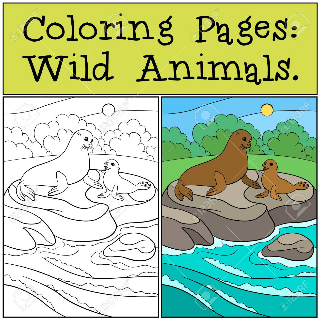 例の着色のページ 彼女かわいい赤ちゃんと母親のオットセイが岩や笑顔に横たわっていた のイラスト素材 ベクタ Image