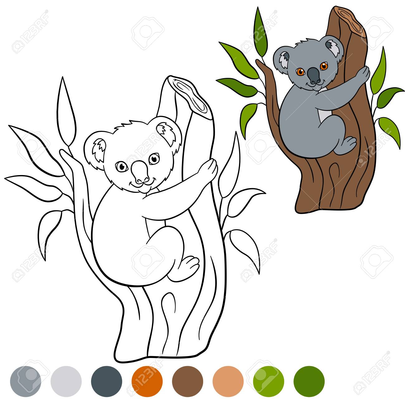 Color Me Koala Little Cute Baby Koala Sits On The Tree Branch Royalty Free Cliparts Vectors And Stock Illustration Image