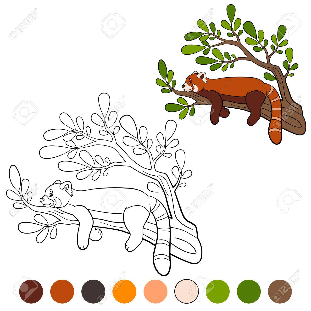 Coloring Page: Red Panda. Little Cute Red Panda On The Tree Branch. Royalty  Free SVG, Cliparts, Vectors, and Stock Illustration. Image 62906993., image size:1300x1300