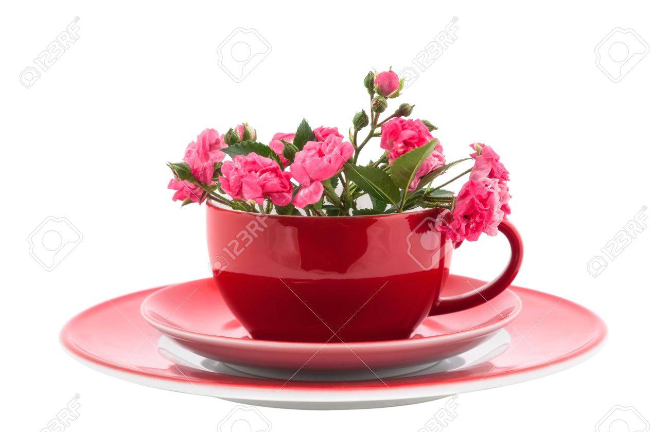 red coffee cups with pink roses flowers isolated on white stock