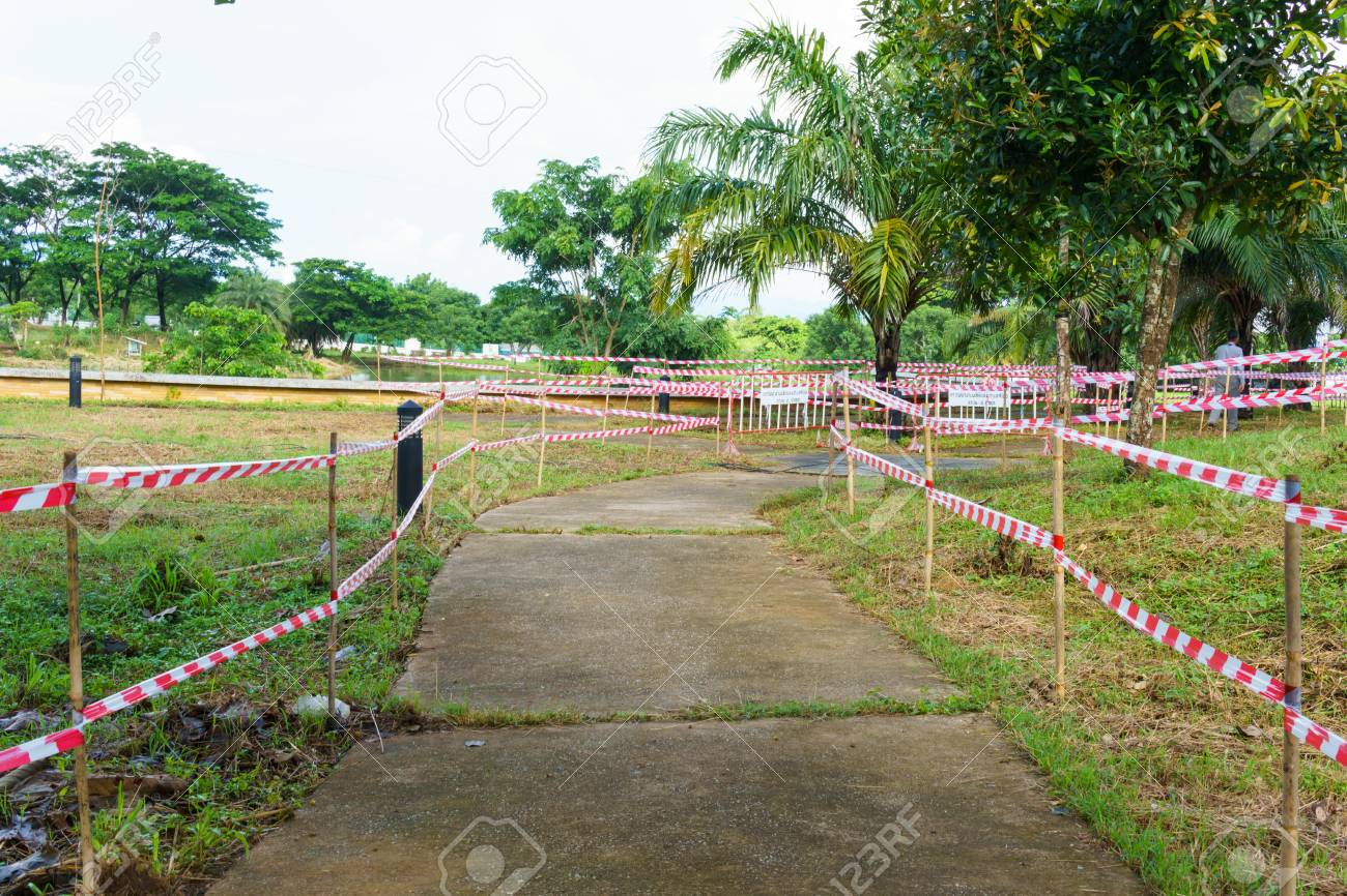 cement path way with