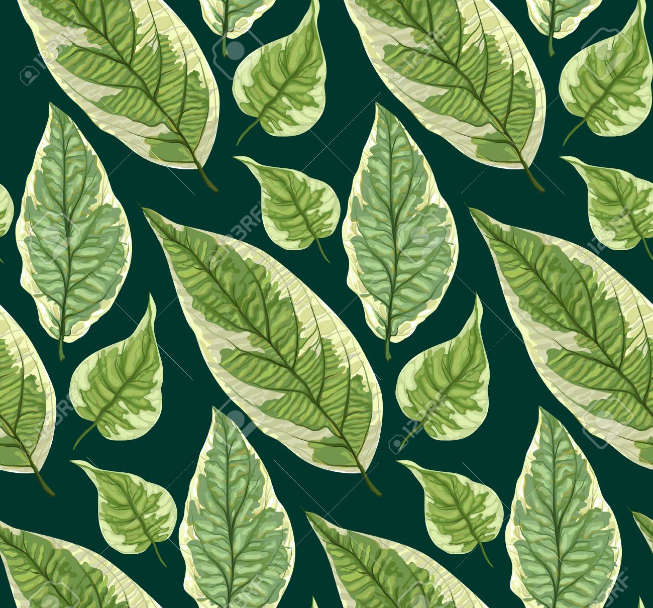葉とベクトルシームレスな背景 リアルなパターン のイラスト素材 ベクタ Image 葉とベクトルシームレスな背景 リアルなパターン のイラスト素材 ベクタ Image